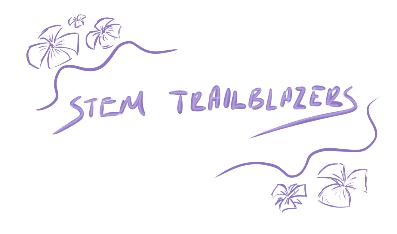STEM Trailblazers!